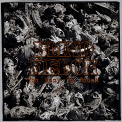 Too Many to Count - Single