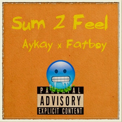Sum 2 Feel - Single