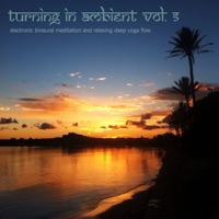 Turning in Ambient, Vol. 5 - Electronic Binaural Meditation and Relaxing Deep Yoga Flow - Nadja Lind