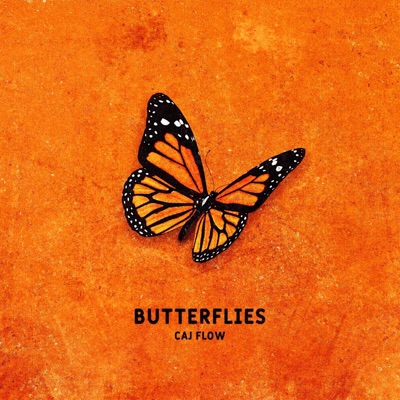 butterflies - Single