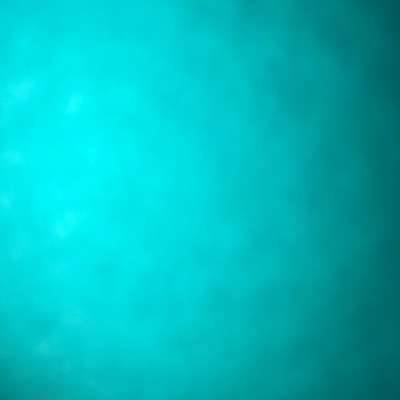 Murder Jesus Chirst - Single