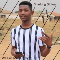 We Can Make It Right - Single - Sharking Dibless