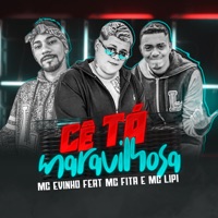 Cê Tá Maravilhosa (feat. Mc Fita & Mc Lipi) - Single - MC Evinho