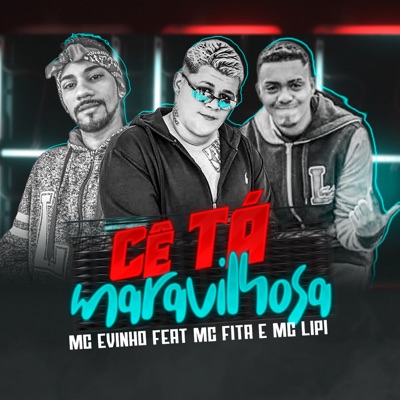 Cê Tá Maravilhosa (feat. Mc Fita & Mc Lipi) - Single