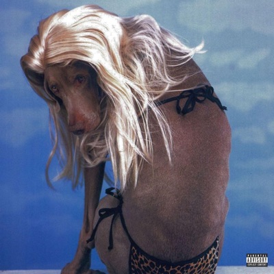 Lost My Head (feat. Ïndie.Star & Rockimonsta) - Single