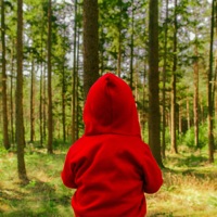 Ringo - Single - Joris Voorn