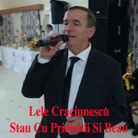 Stau Cu Prietenii Si Beau - Single - Lele Craciunescu