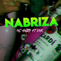 Nabriza (feat. VnR) - Single