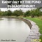 Rainy Day by the Pond in Glastonbury: One Hour - Stardust Vibes lyrics