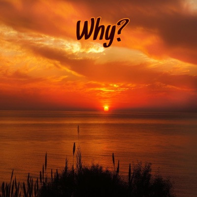 Why? - Single
