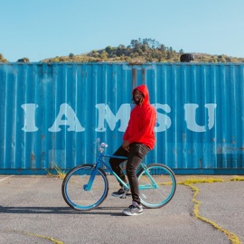 Exotic (feat. T. Carrier) Iamsu!