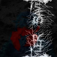 Muffin - Single - savetyler