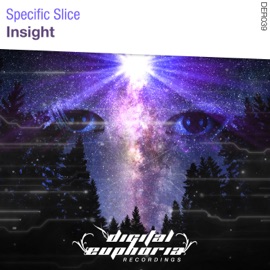 Insight (Radio Edit) Specific Slice