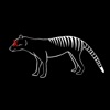 Thylacine Thylacine Thylacine - Single
