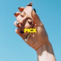 Picx (feat. Mr. J. Medeiros) - Single - Palastic