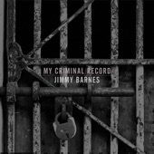 My Criminal Record (Deluxe Edition) artwork