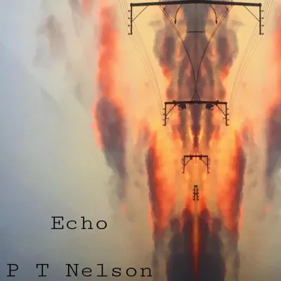 Listen to Echo - Single by PT Nelson