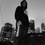 Fly Higher - Single