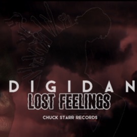 Lost Feelings Digidan