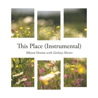 This Place (feat. Zachary Horner) [Instrumental] - Single - Allyson Horner
