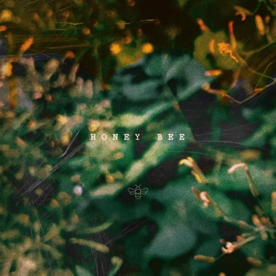 Honey Bee - Single