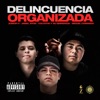 Delincuencia Organizada
