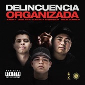 Delincuencia Organizada (feat. Jasiel Ayon & Junior H) artwork