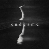 Endgame artwork