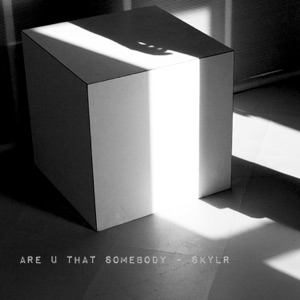 Are You That Somebody? - Single