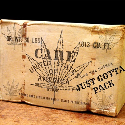 Just Gotta Pack - Single