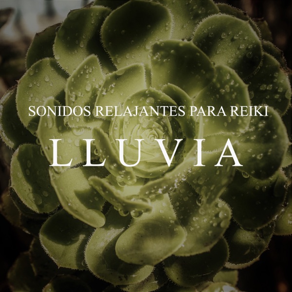 Sonidos Relajantes para Reiki: Lluvia