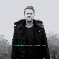 Si Aún Te Queda el Amor (feat. Andrés Torres & Jeronimo Salazar) - Single - Sebastian Yepes