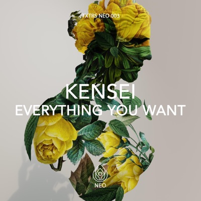 Everything You Want - Single