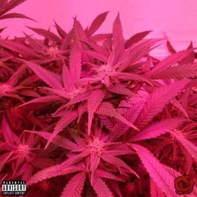 Just Relax a Little - EP