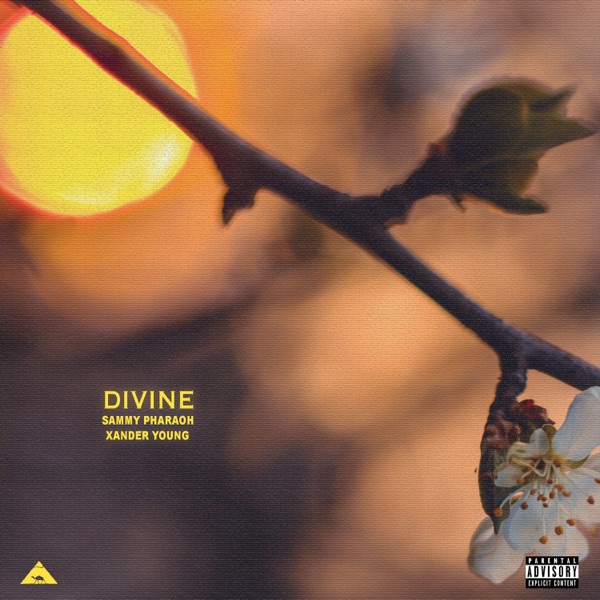 Divine (feat. Xander Young)