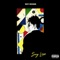 Balance (feat. PnB Rock & dvsn) - Roy Woods lyrics