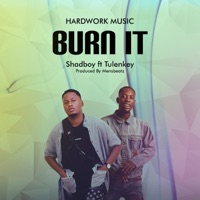 Burn It (feat. Tulenkey) - Single - Shadboy