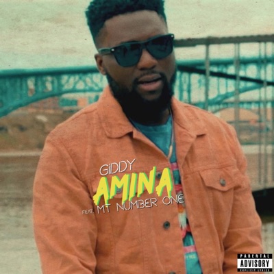 Amina (feat. Mt Number One) - Single