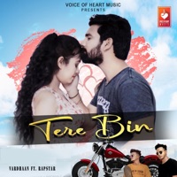 Tere Bin (feat. Rapstar) - Single - Vardhaan