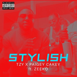 Stylish (feat. Zeeko) TZY & Paigey Cakey