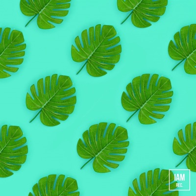 Silent Reflections - Single