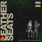 Leather Seats - Single
