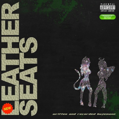 Leather Seats - Single