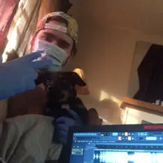 C. Peckを聴いたり、ミュージックビデオを鑑賞したり、経歴やツアー日程などを確認したりしましょう！