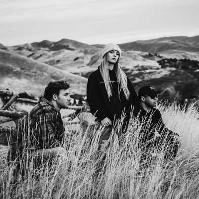 Likes and Mentions - Single