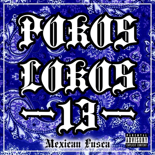 Pokos Lokos 13