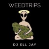 Weedtrips - Single