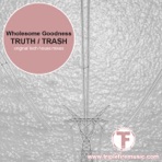 Truth / Trash - Single