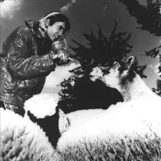 Babylon Zoo: песни, клипы, биография, даты выступлений и многое другое.