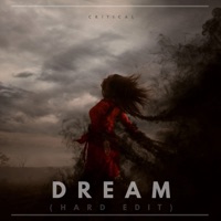 Dream (Hard Edit) - Single - Critical